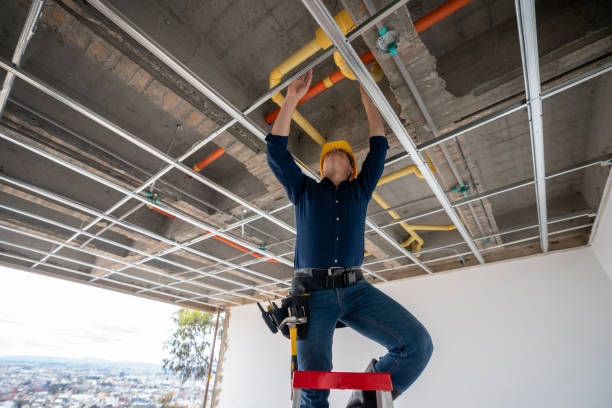 Best 24-Hour Plumber Near Me  in Lapeer, MI