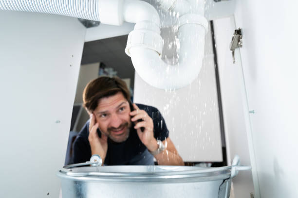Best Toilet Repair Services  in Lapeer, MI