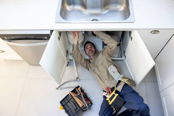 Best Affordable Plumbing Services  in Lapeer, MI