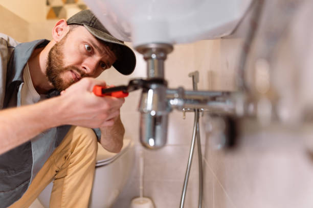 Best Plumbing Services Near Me  in Lapeer, MI