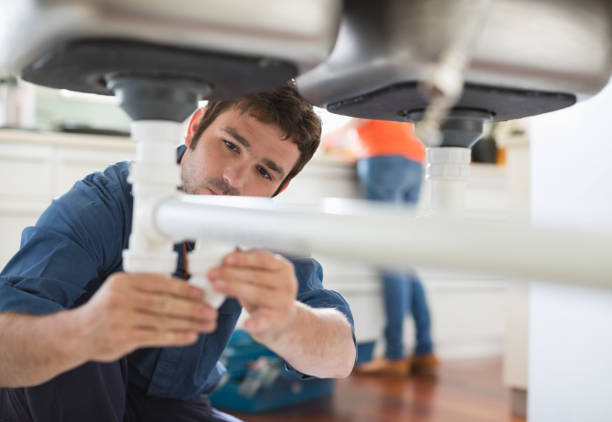 Lapeer, MI Plumbing Pros