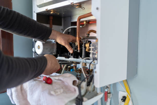 Best Residential Plumbing Services  in Lapeer, MI